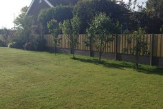 Timber Panels in Woodgrain